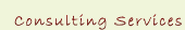 Consulting Services