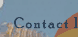 Contact Info