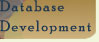 Database Development