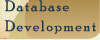 Database Development