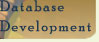Database Development