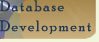 Database Development